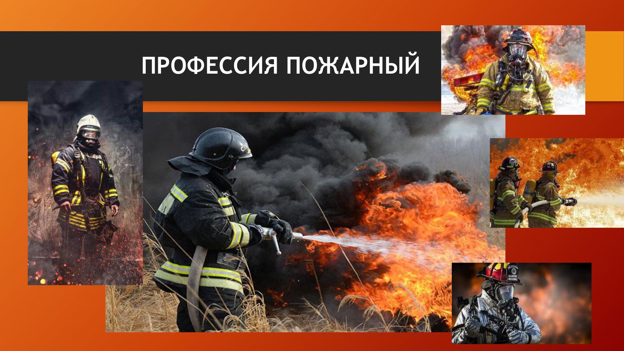 Программа профессиональной подготовки по профессиям рабочих и должностям служащих 16787 Пожарный